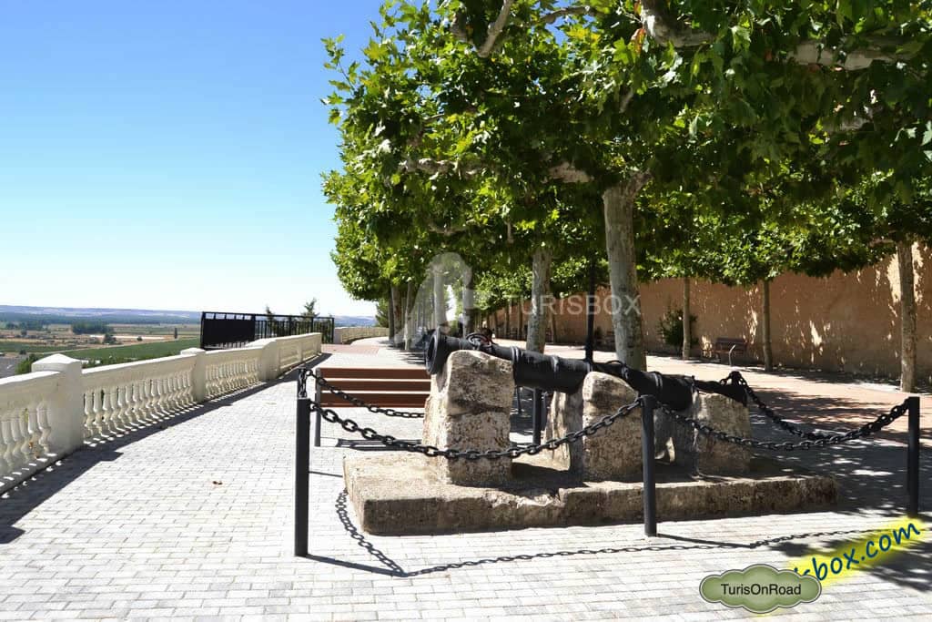 Foto 4 de Roa de Duero