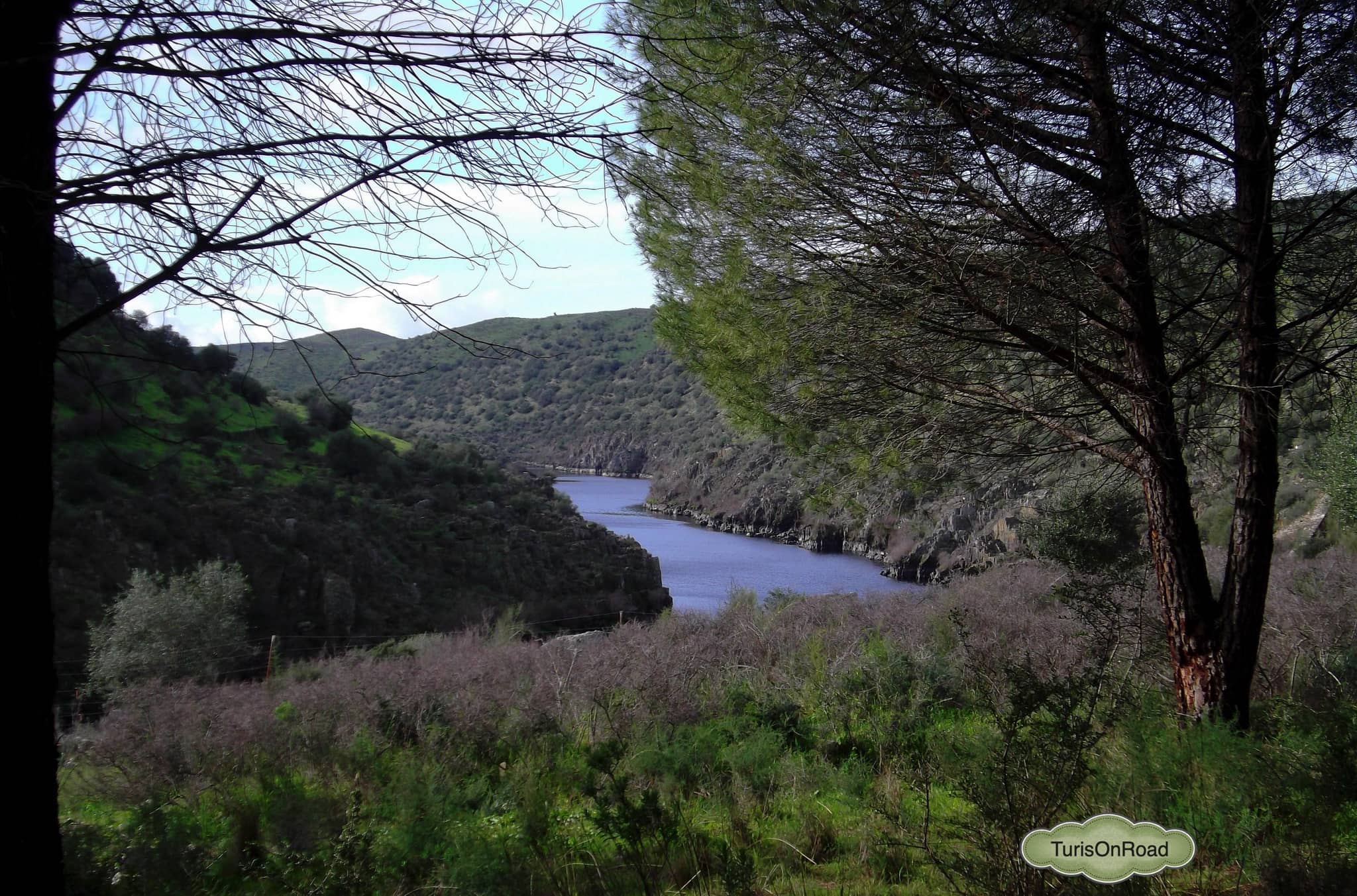 Foto 4 de Alcántara