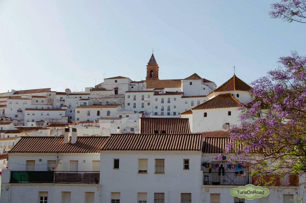 Foto 3 de Alcalá de los Gazules