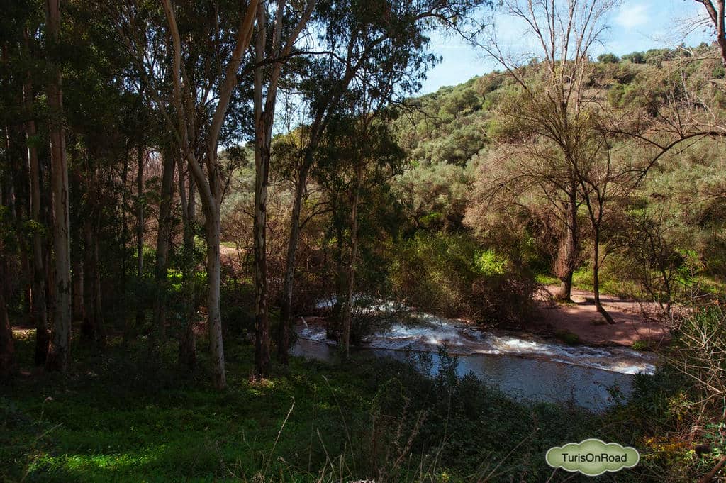Foto 5 de El Bosque