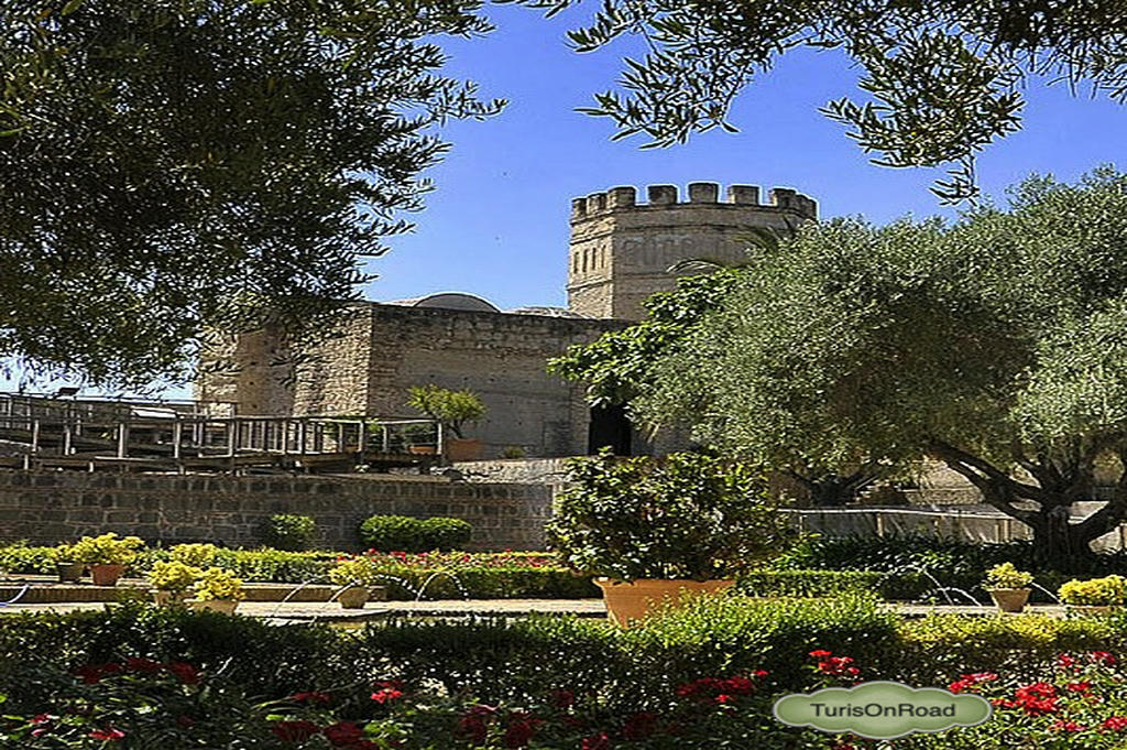 Foto 3 de Jerez de la Frontera