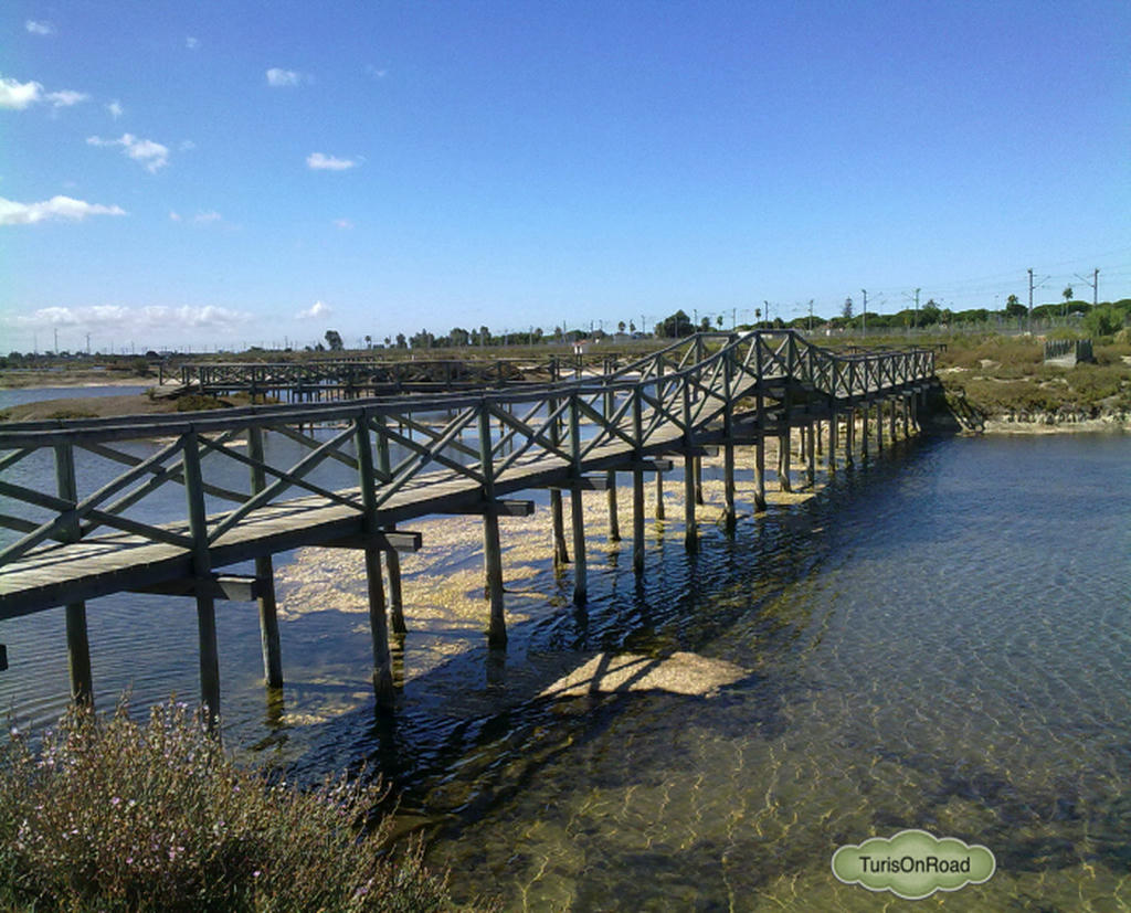 Foto 2 de El Puerto de Santa María