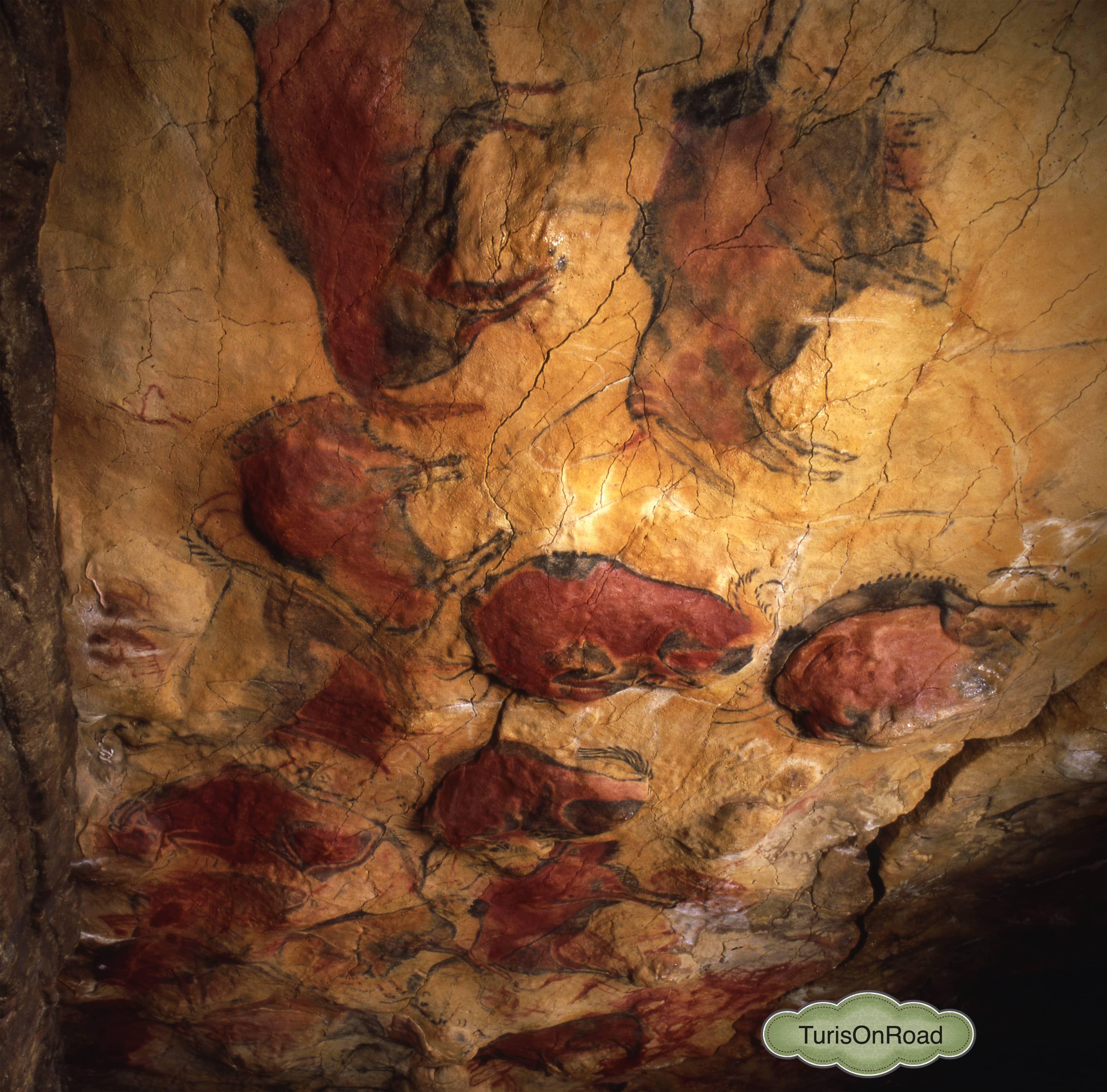 Foto 3 de Cueva de Altamira