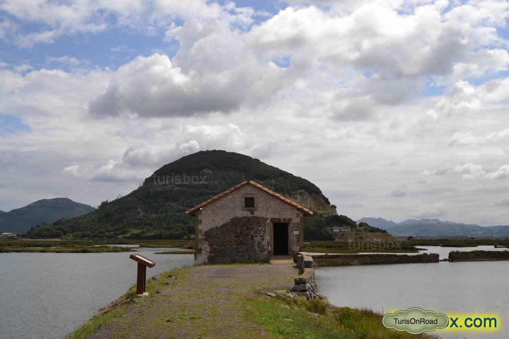 Foto 3 de Reserva Natural de las Marismas de Santoña, Victoria y Joyel