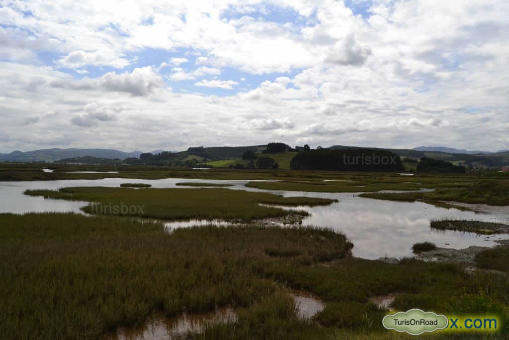 Foto 4 de Reserva Natural de las Marismas de Santoña, Victoria y Joyel