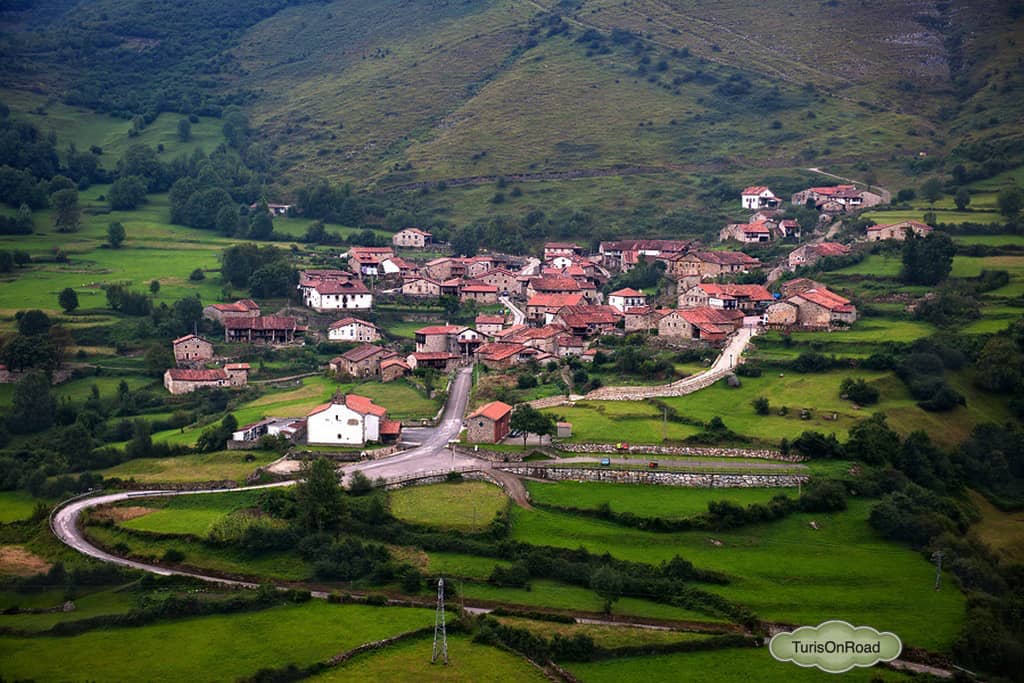 Foto 4 de Tudanca