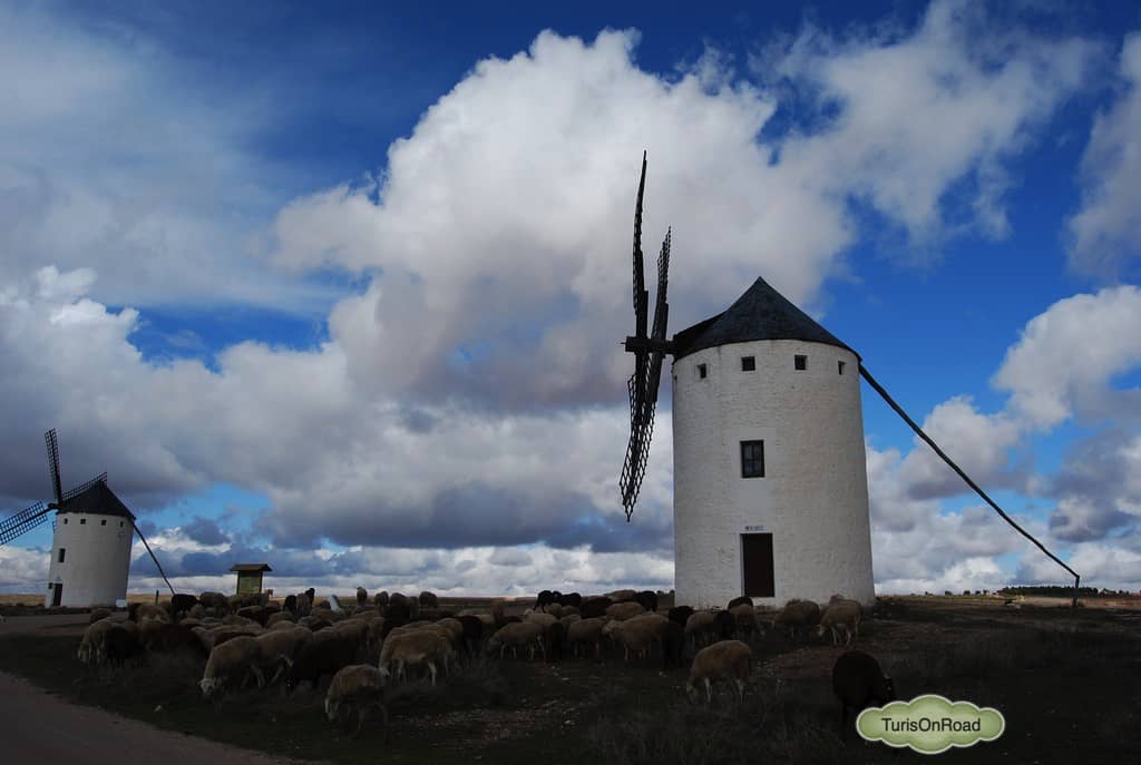Foto 4 de Campo de Criptana