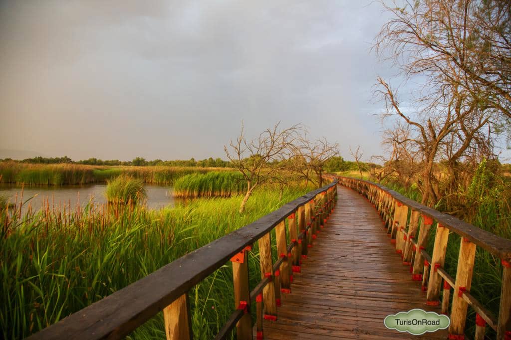 Foto 4 de Parque Nacional Tablas de Daimiel