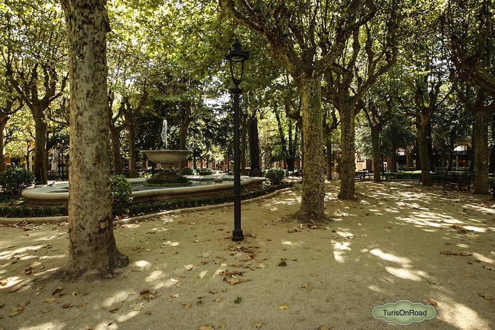 Foto 2 de Olot