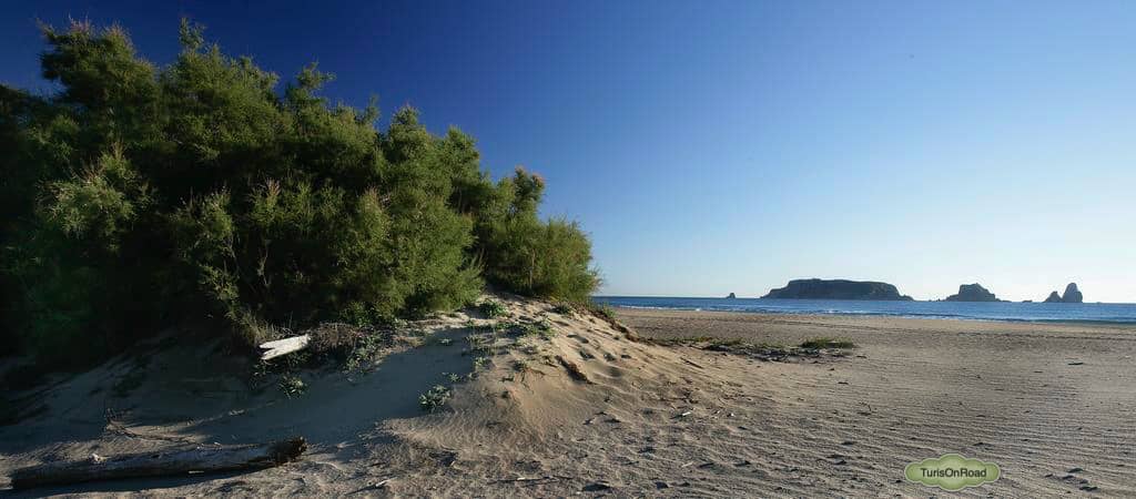 Foto 3 de Playa Grande
