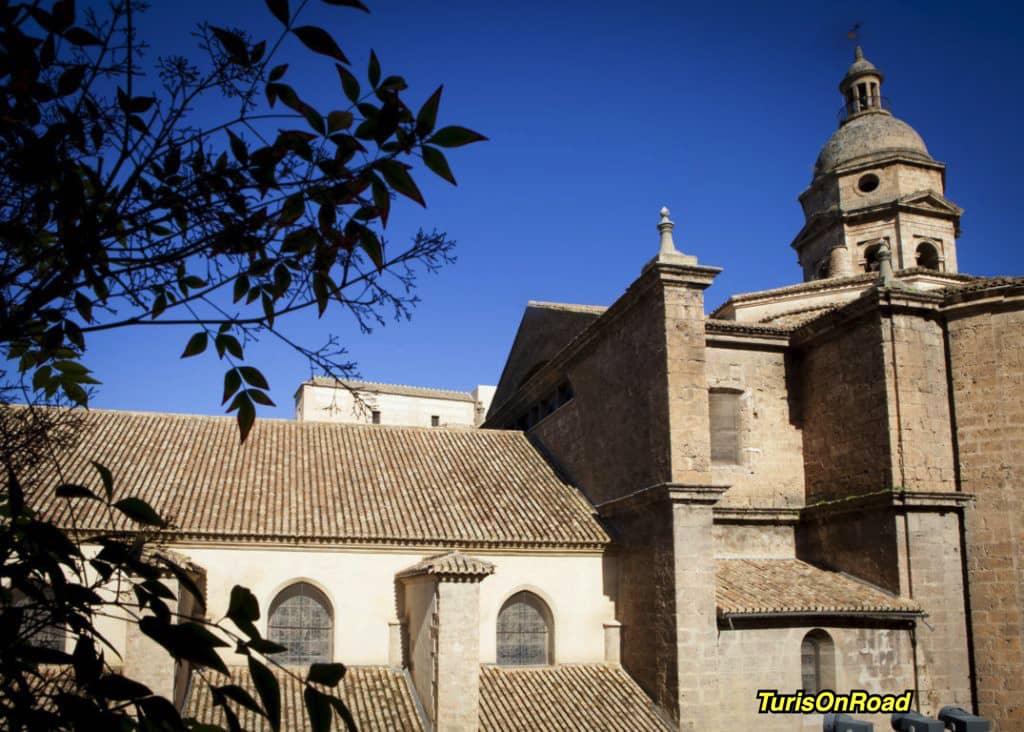 Loja