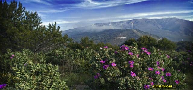 Foto 6 de Motril