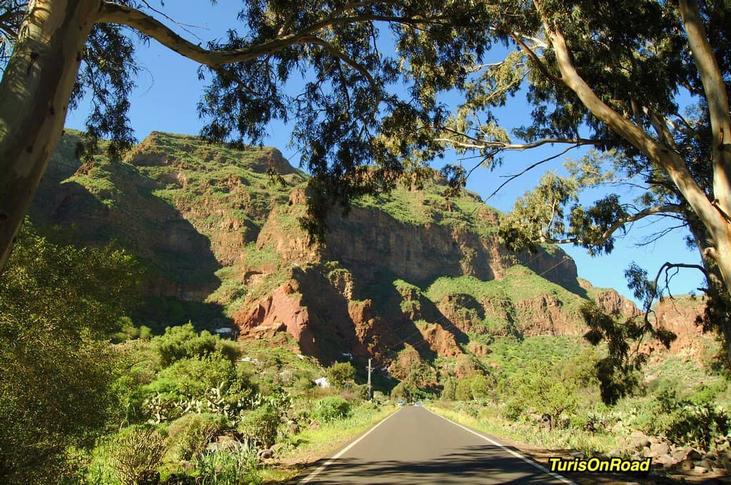 Foto 3 de Agüimes