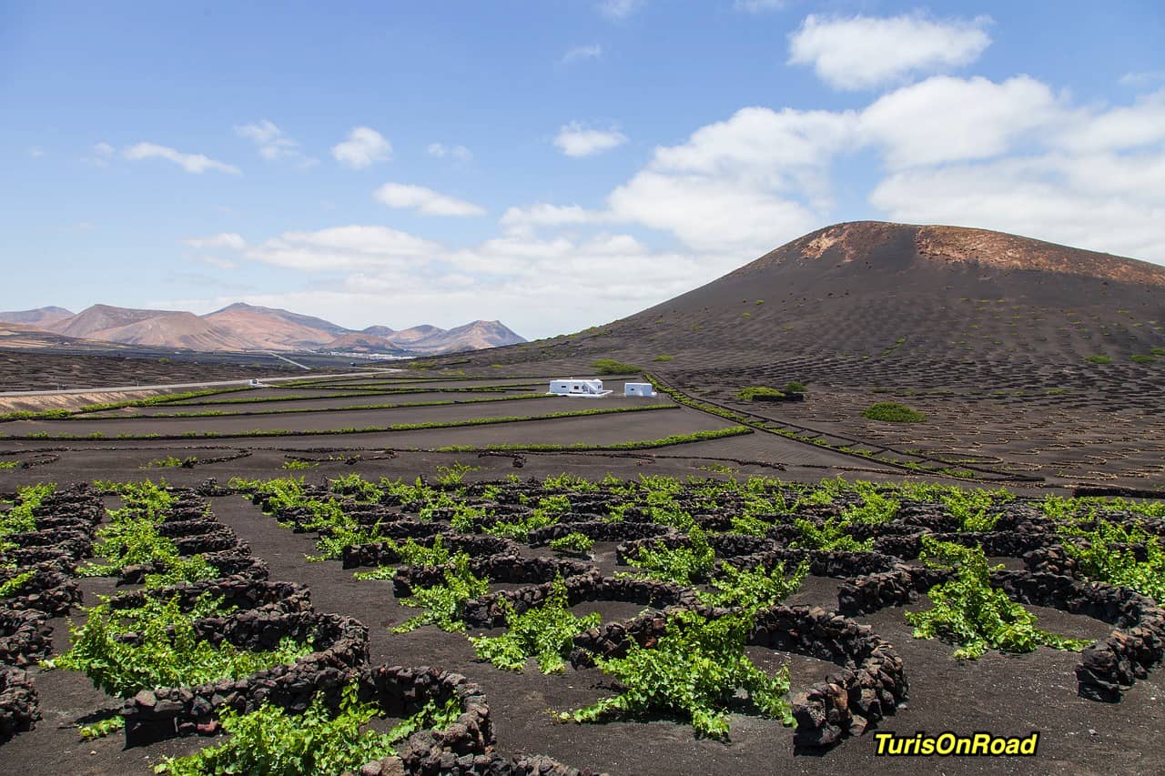 Foto 4 de Isla de Lanzarote