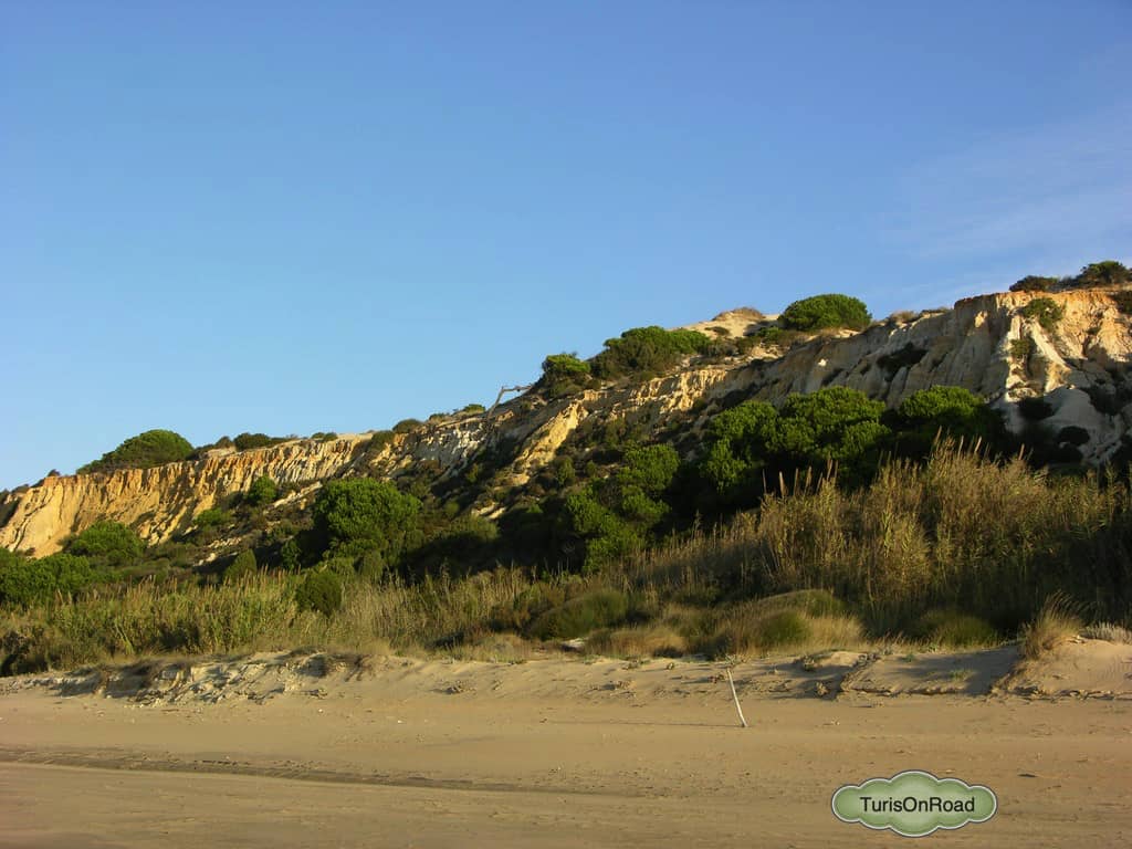 Foto 4 de Moguer