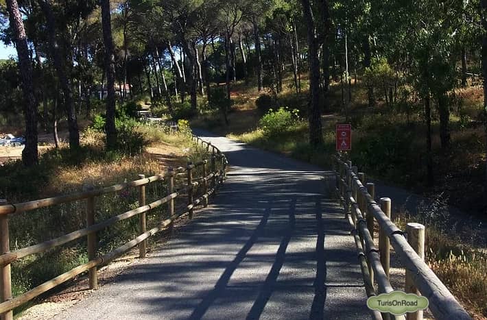 Foto 5 de Valverde del Camino