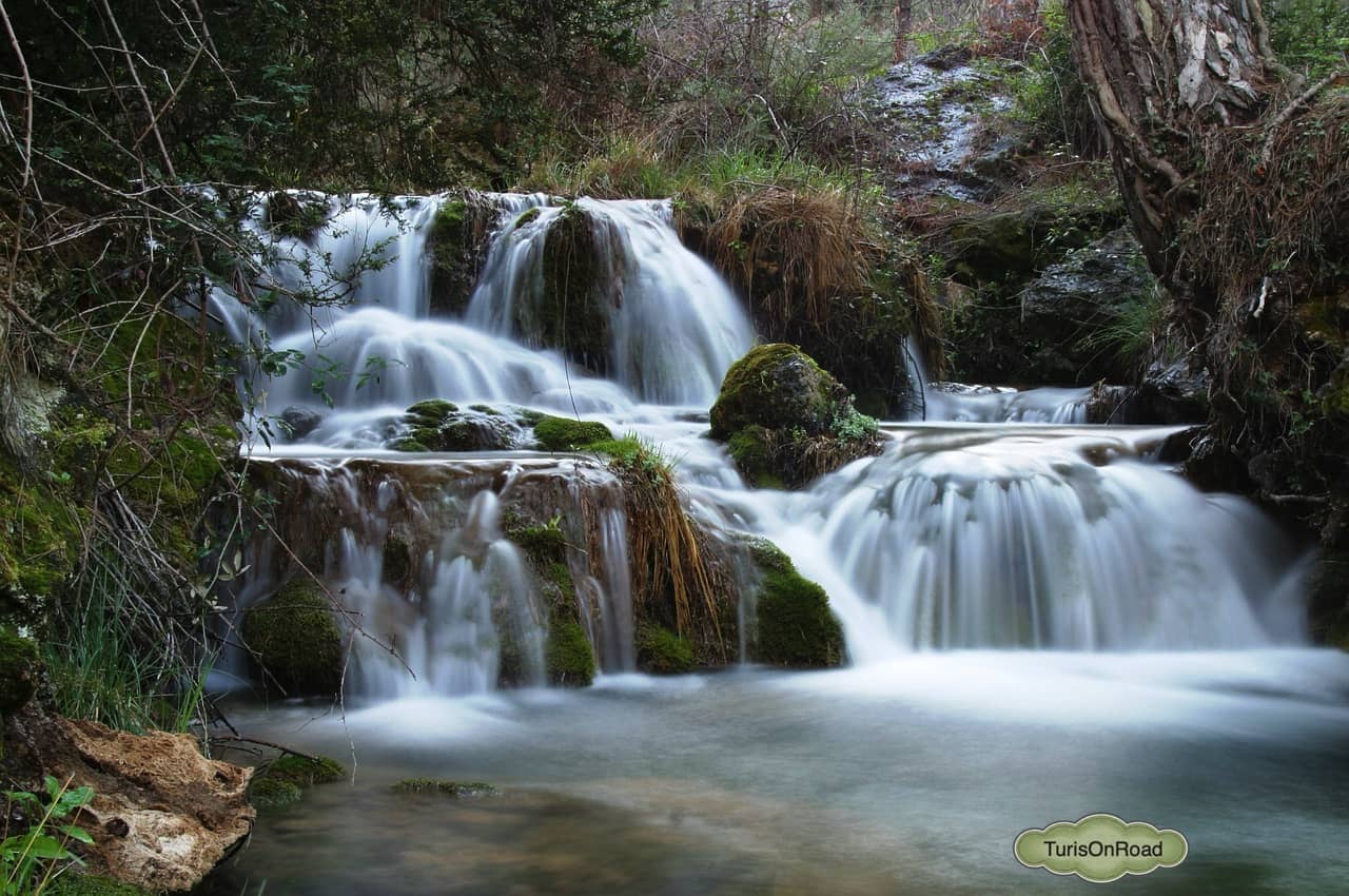 Foto 4 de Cazorla