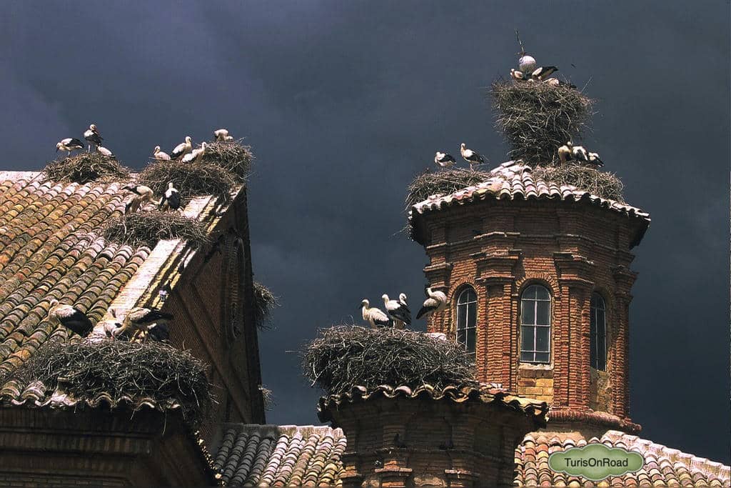Foto 5 de Alfaro