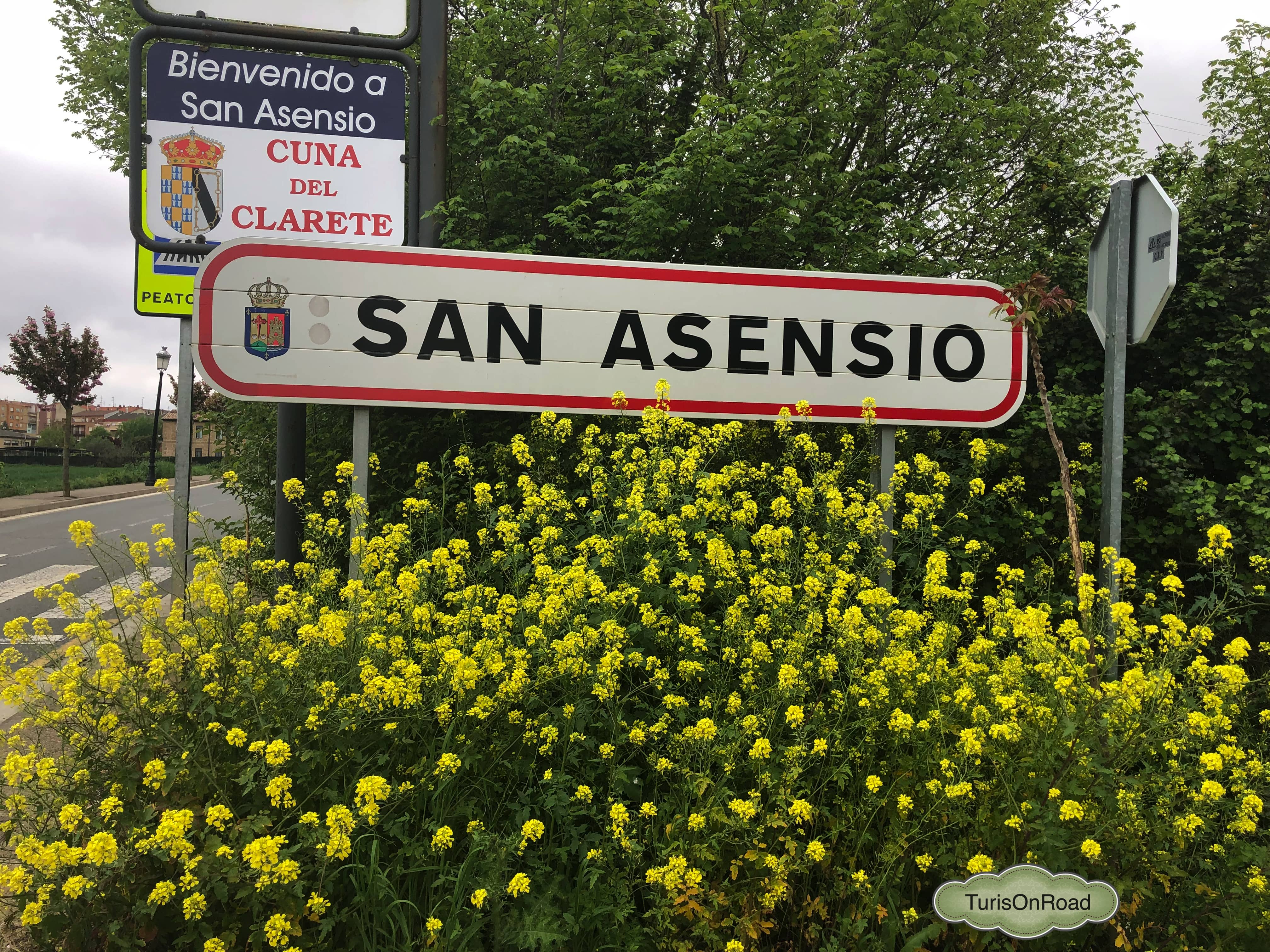 Foto 5 de San Asensio