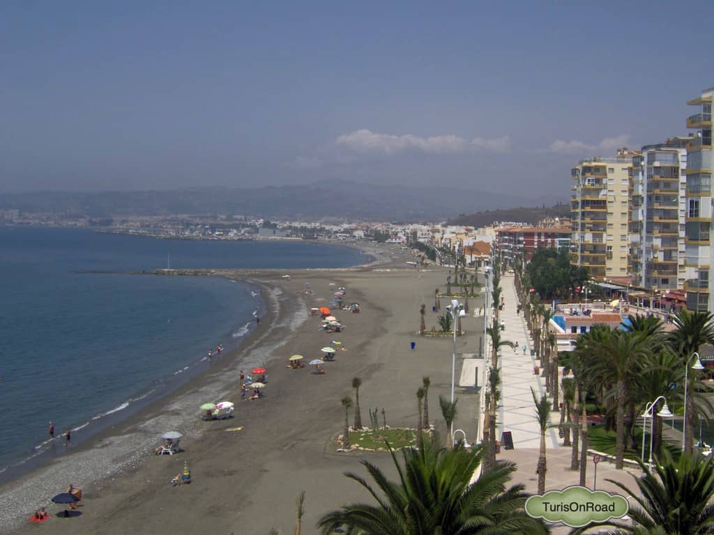 Foto 4 de Algarrobo