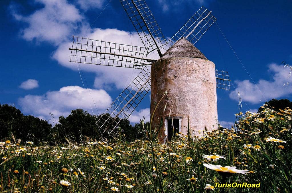 Foto 3 de Formentera