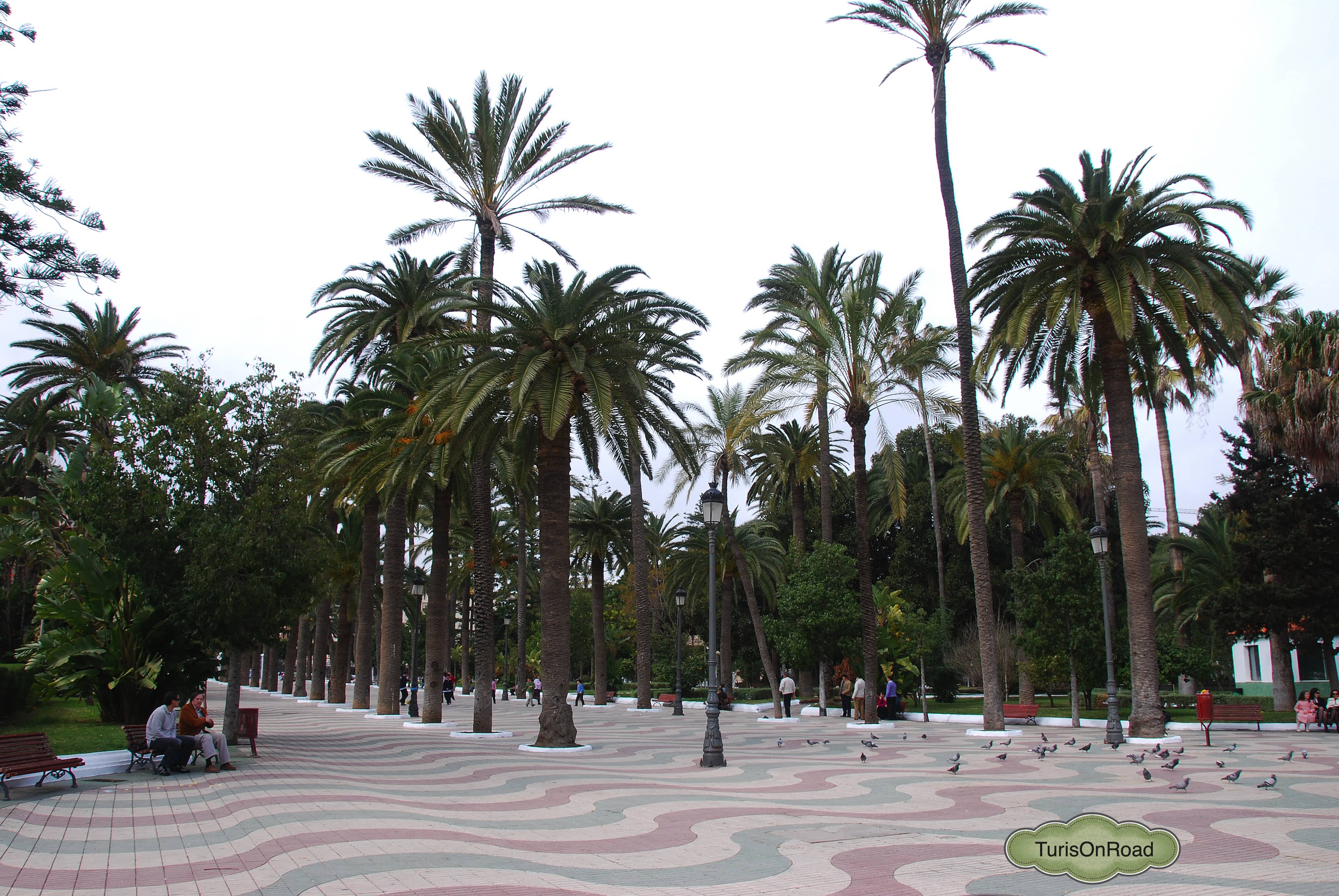 Foto 4 de Melilla