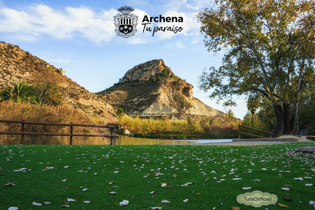 Foto 5 de Archena