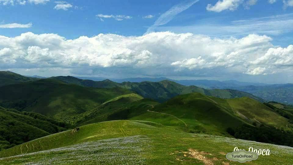 Foto 4 de Irurita