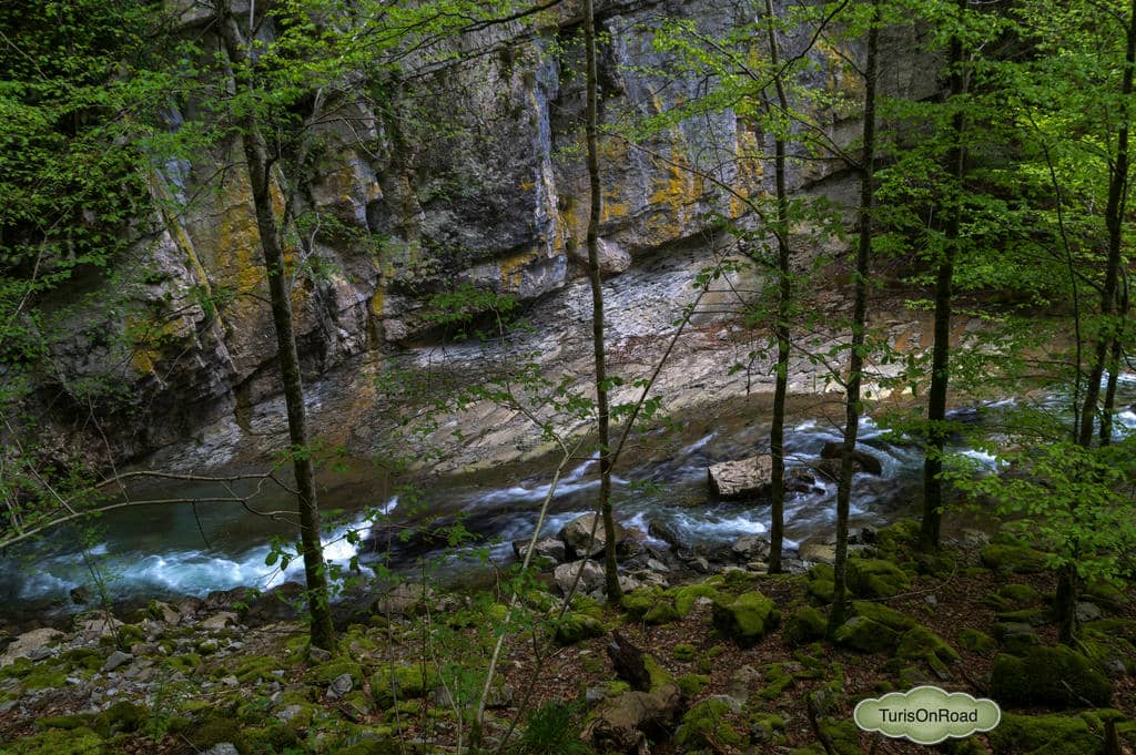 Foto 2 de Selva de Irati