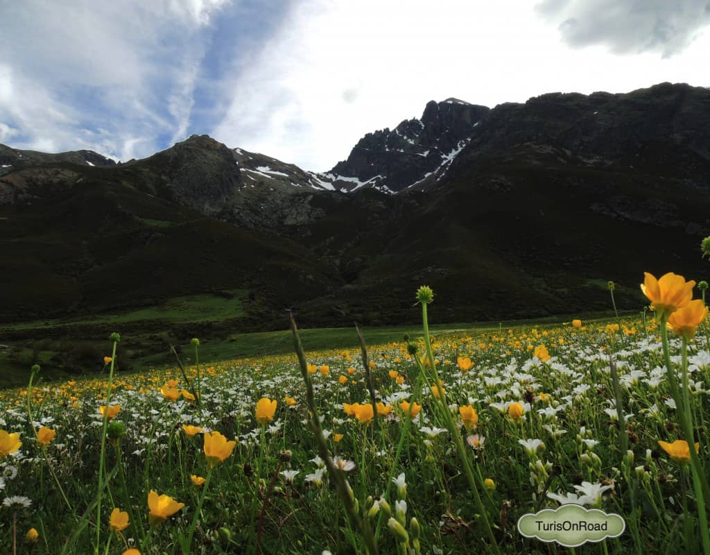 Foto 4 de Velilla del Río Carrión