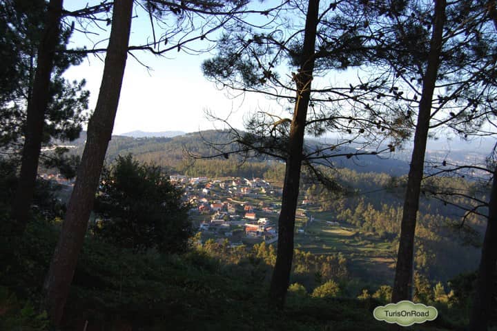 Foto 4 de Mos