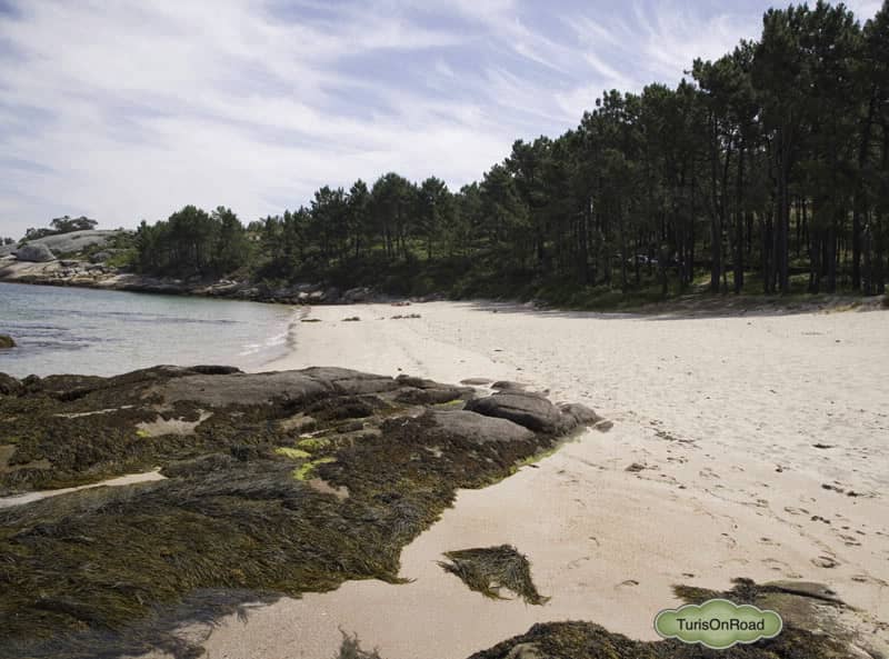 Foto 4 de Playas de Isla de Arousa