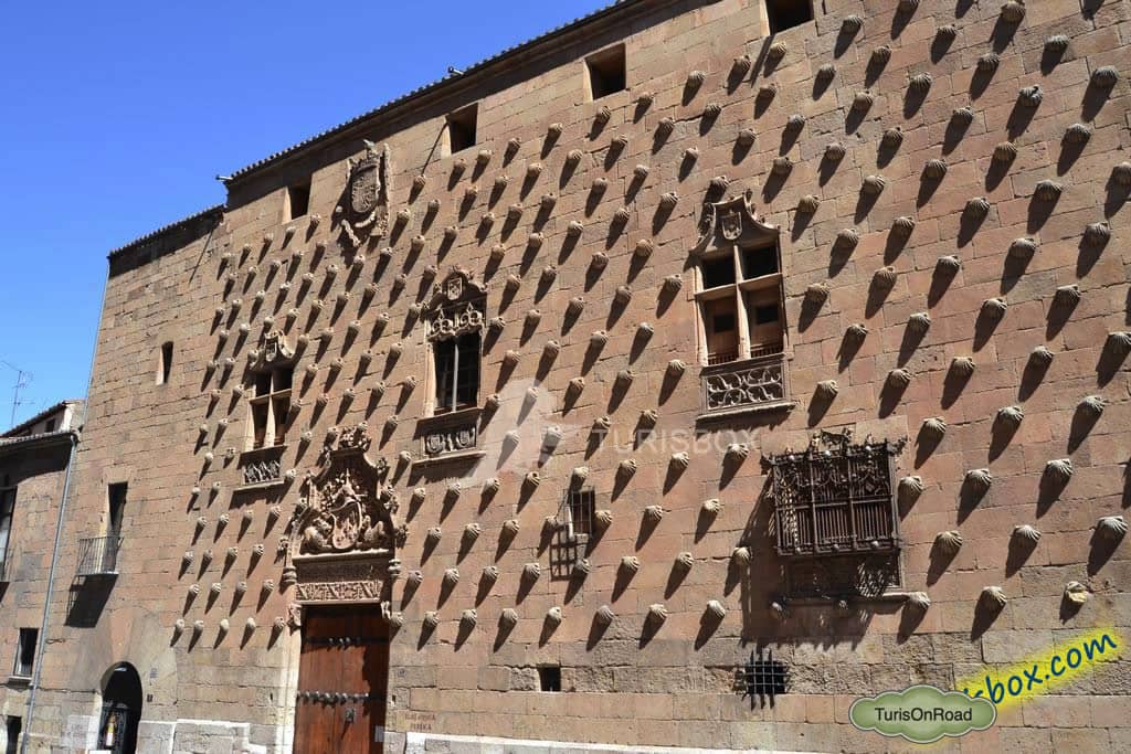 Foto 4 de Salamanca