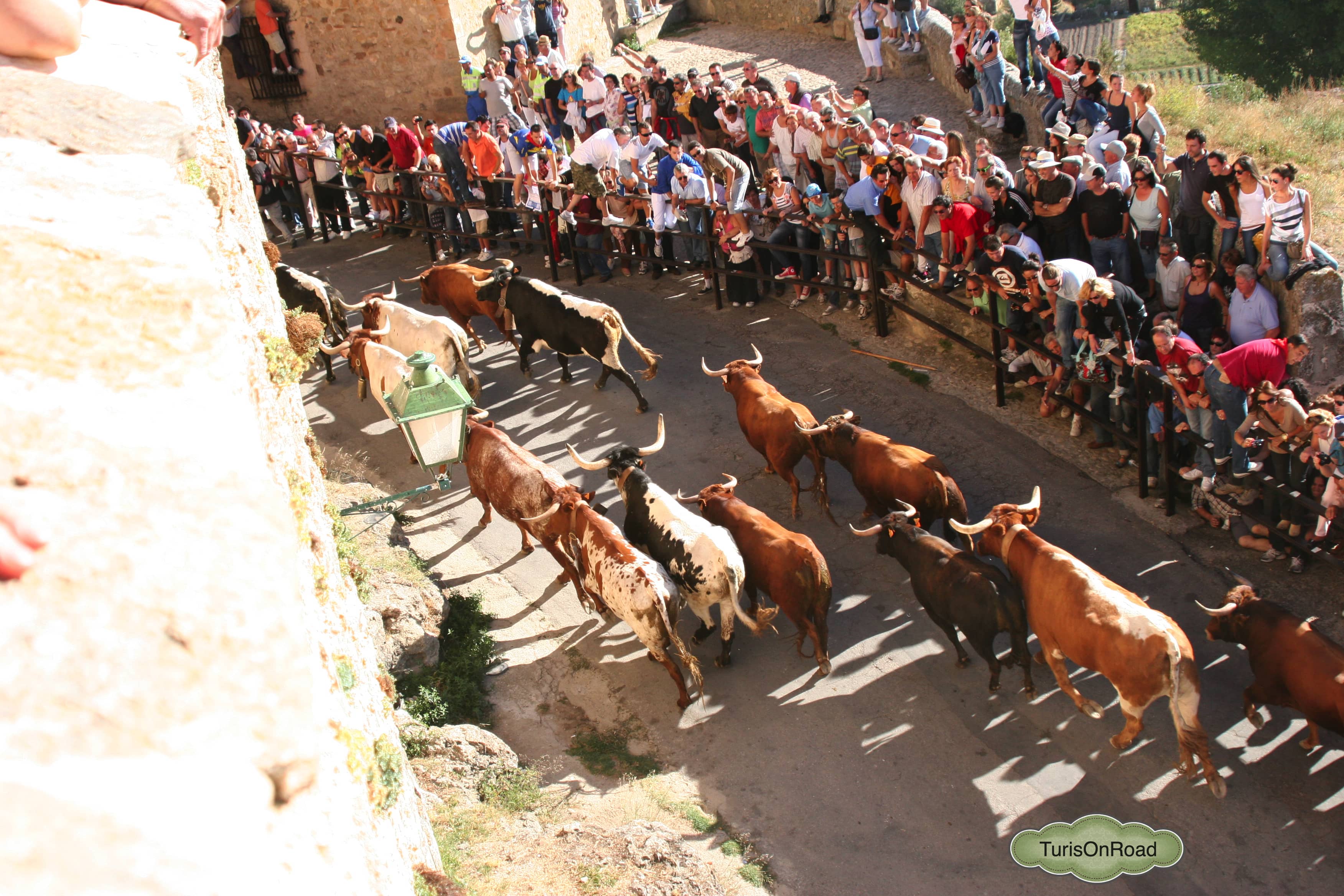 Foto 4 de Pedraza