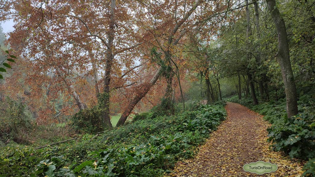 Foto 7 de Alcalá de Guadaíra