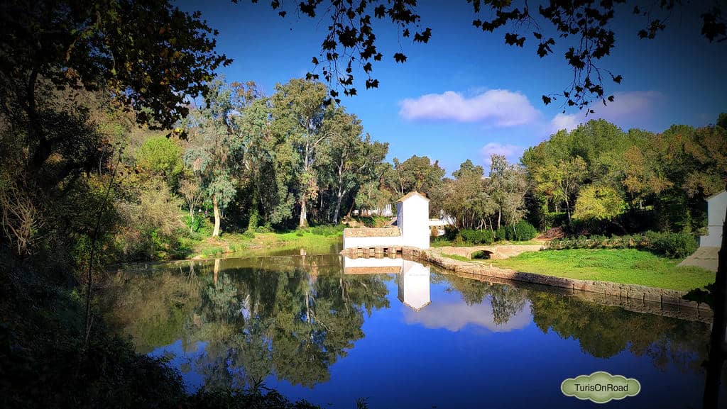 Foto 10 de Alcalá de Guadaíra