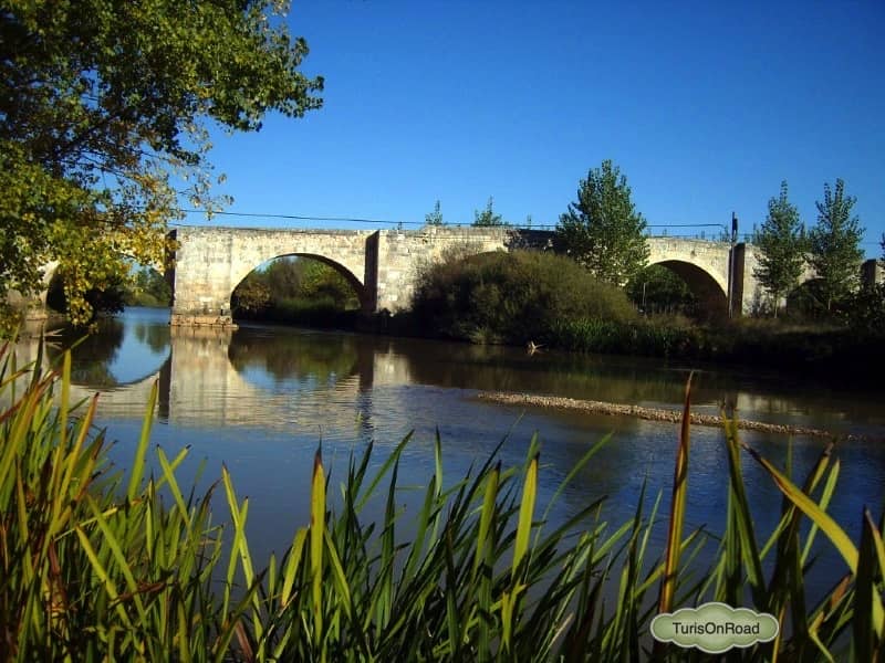 Foto 2 de Langa de Duero