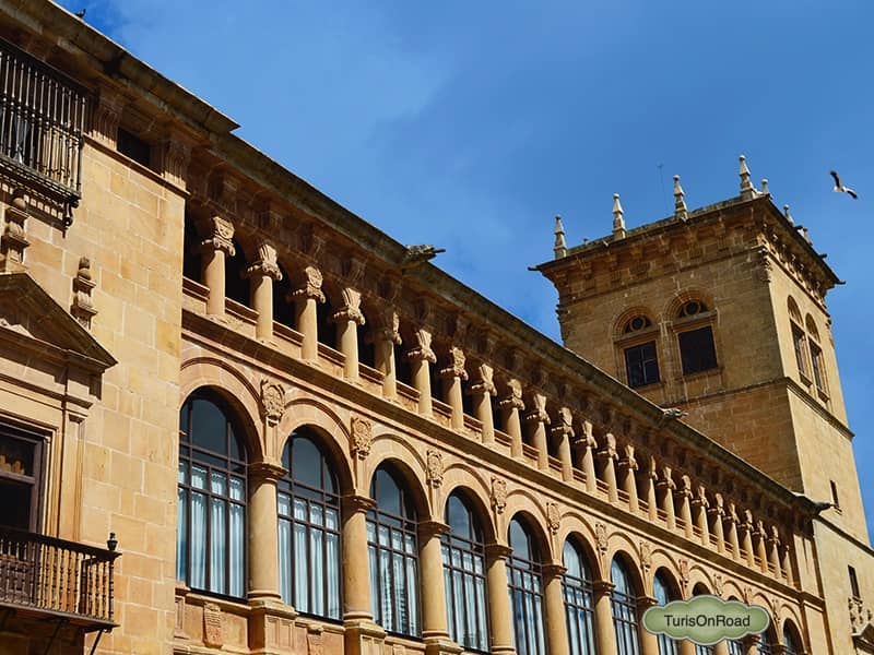 Foto 2 de Soria