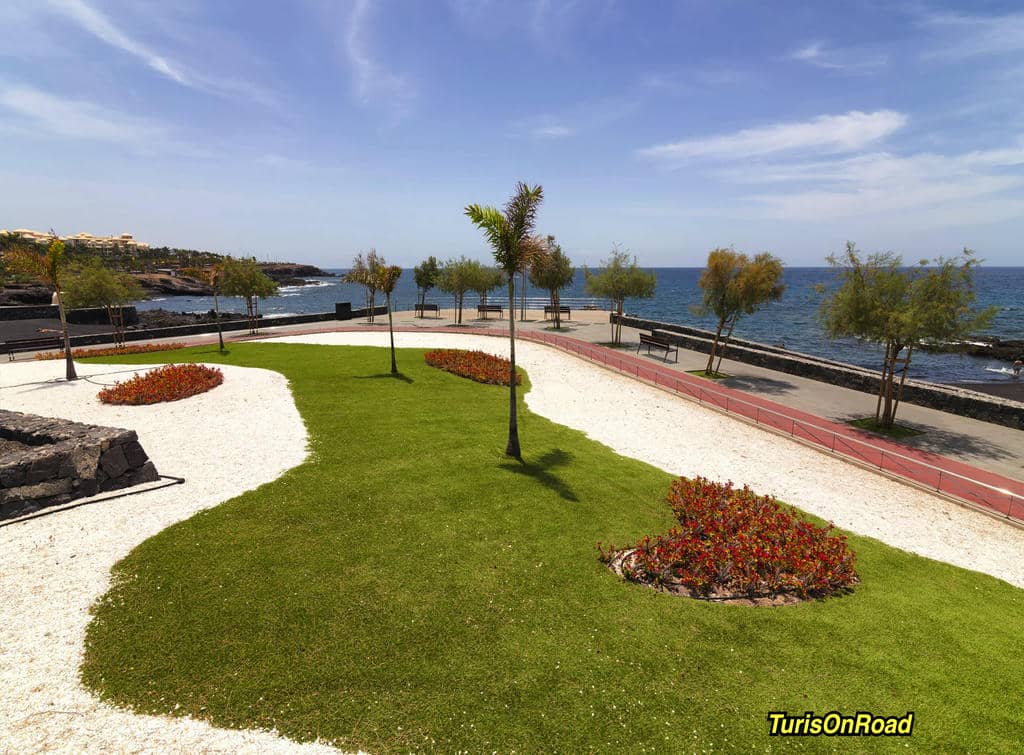Foto 5 de Guía de Isora