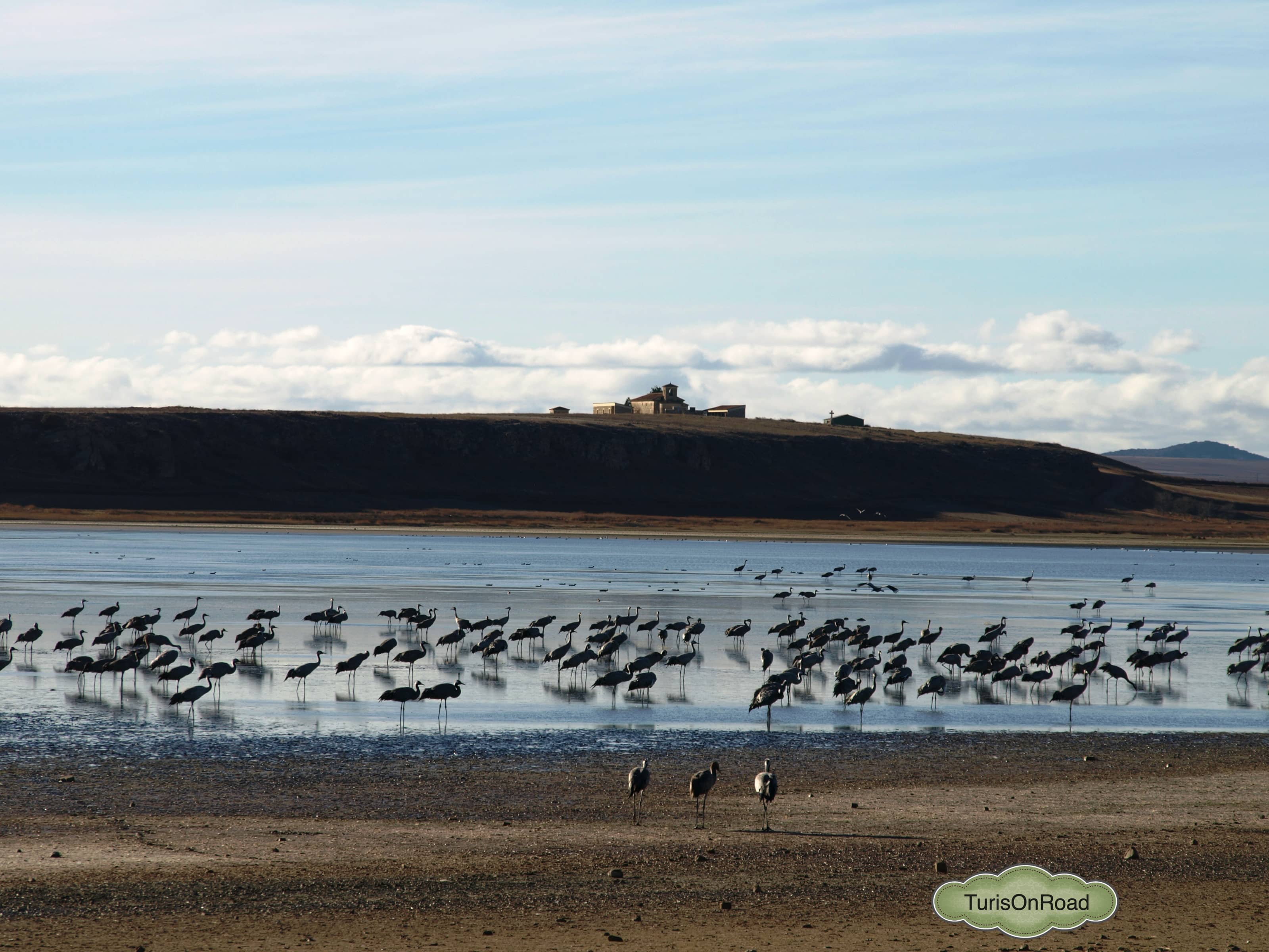 Foto 4 de Laguna de Gallocanta