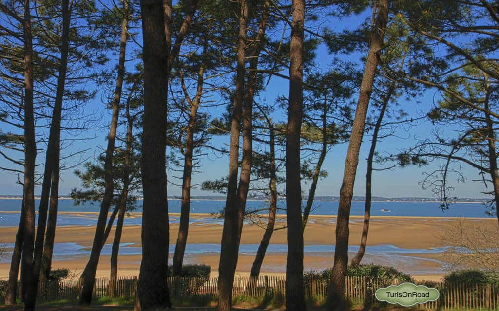 Foto 4 de Arcachon