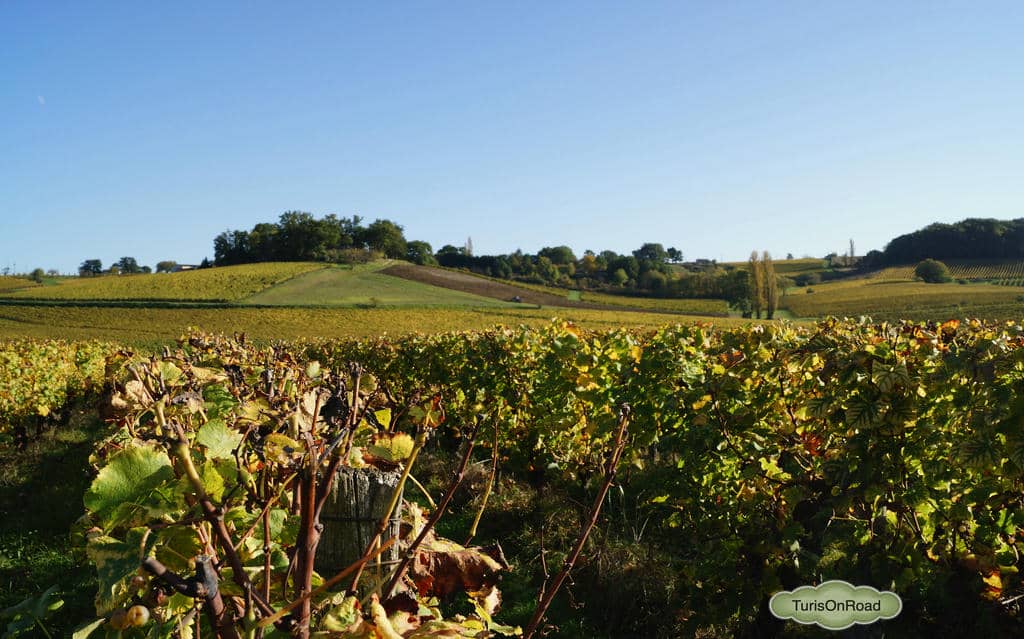 Foto 3 de Bergerac