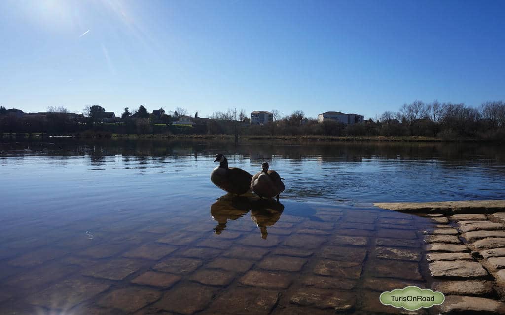 Foto 4 de Bergerac