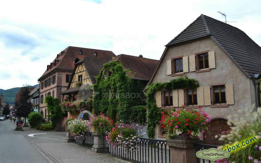 Foto 2 de Bergheim