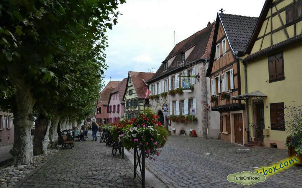 Foto 4 de Bergheim