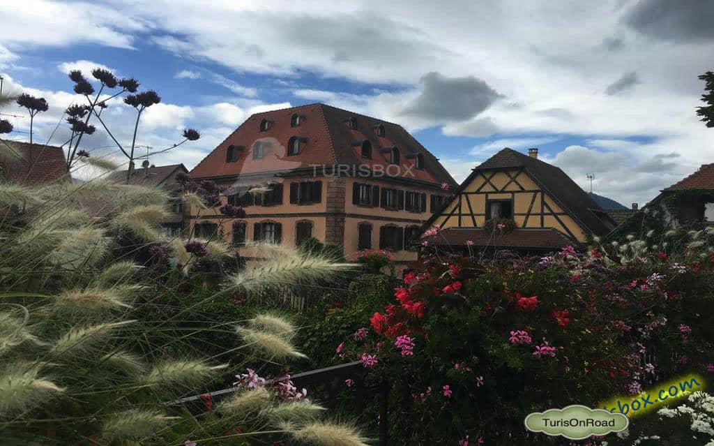 Foto 5 de Bergheim