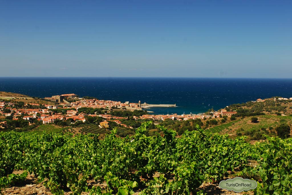 Foto 4 de Collioure o Colliure