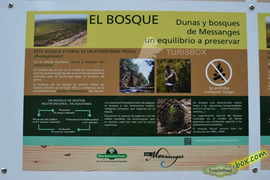 Foto 2 de Messanges