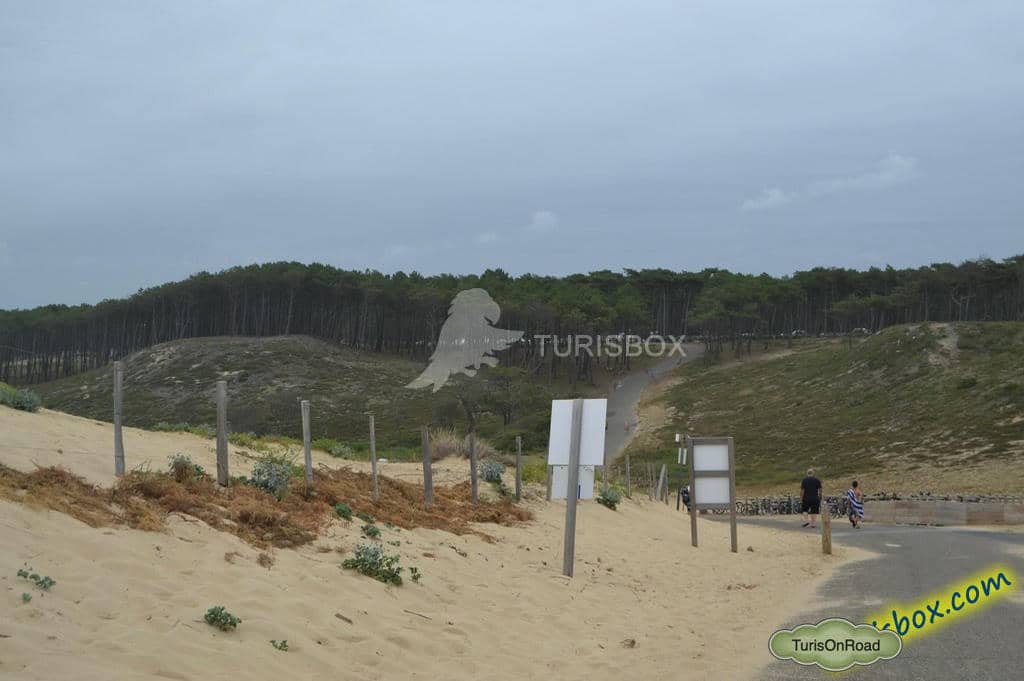 Foto 5 de Messanges