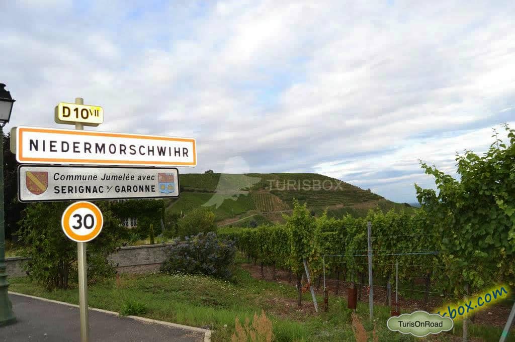 Foto 4 de Niedermorschwihr